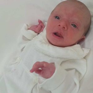 ANITA BARZOTTO SPENGLER