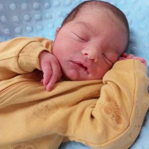 AUGUSTO FEISTEL CARNEIRO CARGNELUTTI