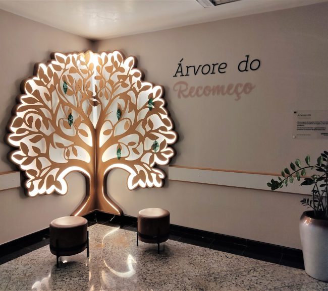 Árvore do Recomeço (2)