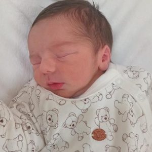 CAETANO NOSCHANG CASTOLDI CAETANO NOSCHANG CASTOLDI