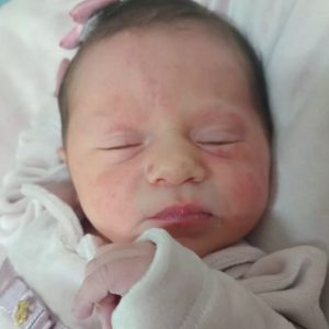 CECÍLIA BENEDETTI AZEREDO CECÍLIA BENEDETTI AZEREDO