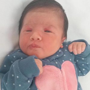 CECÍLIA DE CAMPOS PADOIM CECÍLIA DE CAMPOS PADOIM
