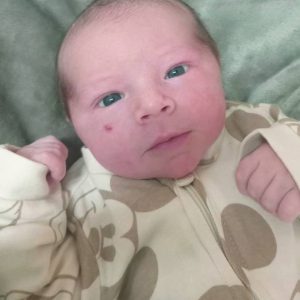 Enrico Kolling Prezzi