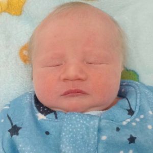 FRANCISCO MEIRELES HEISLER FRANCISCO MEIRELES HEISLER