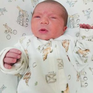 GUSTAVO GARIBALDI SPOHR BILIBIO