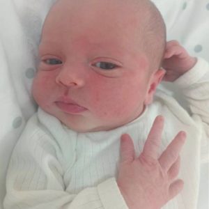 HENRIQUE RADUNS KOOP