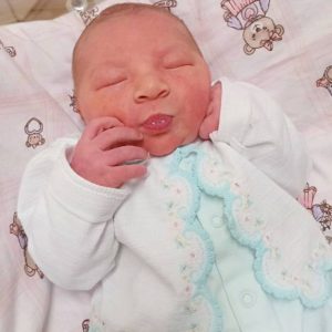 JADE BERTOLLO DE OLIVEIRA