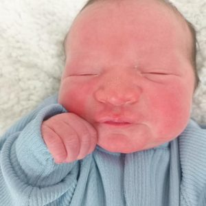 JOAQUIM MANICA DE MORAES DE ALMEIDA JOAQUIM MANICA DE MORAES DE ALMEIDA