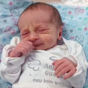 LIAN ROTILI BRIGO