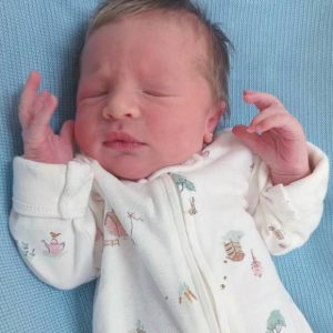 LIVIA DORNELES RIGODANZO