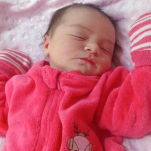 LIVIA HELOISE KLEIMERT LIVIA HELOISE KLEIMERT
