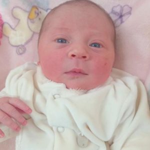 LIVIA THIESEN HEUSNER LIVIA THIESEN HEUSNER