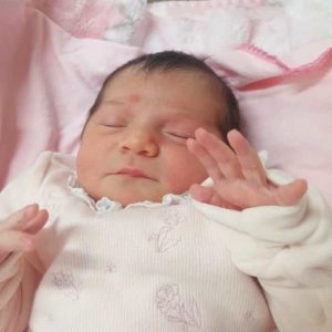 MARIA CECÍLIA MAGNI
