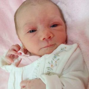 MARIA CECILIA ZANETTI DAL FORNO