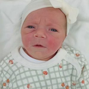NINA SARRETA COSTA NINA SARRETA COSTA