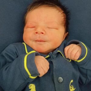 NOAH DOMINICK HARTMANN MULHBEIER NOAH DOMINICK HARTMANN MULHBEIER
