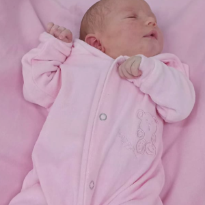 SOFIA HELENA PROCHNOW DA SILVA