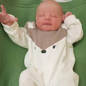 THEODORO WENDLAND DE AQUINO