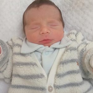 VICENTE WENDER FERREIRA VICENTE WENDER FERREIRA