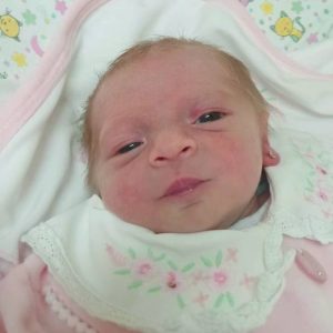 Vitoria Schmidtt Jardim