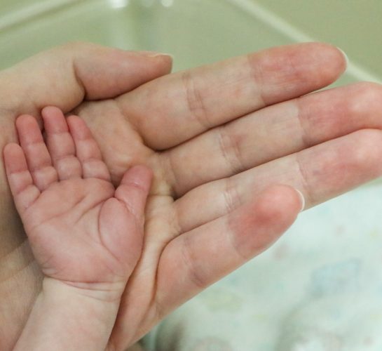 WhatsApp Image 2026-02-11 at 08.44.50